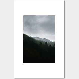 Foggy Moody Forest Landscape Posters and Art